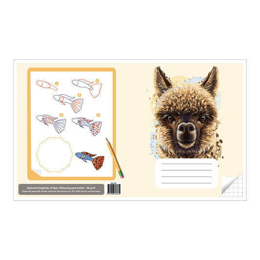 Sąsiuvinis langeliais 12 lapų. Vidinių lapų gramatūra – 90 g/m2.