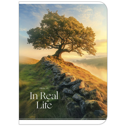 Sąsiuvinis Schoolboy, 48 lapų, langeliais, A5, 70 gsm