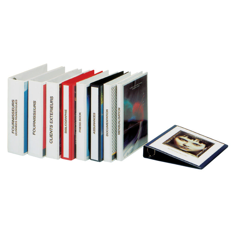 Ring binder with front insert ESSELTE, A4, spine 77 mm, 4 rings 50 mm