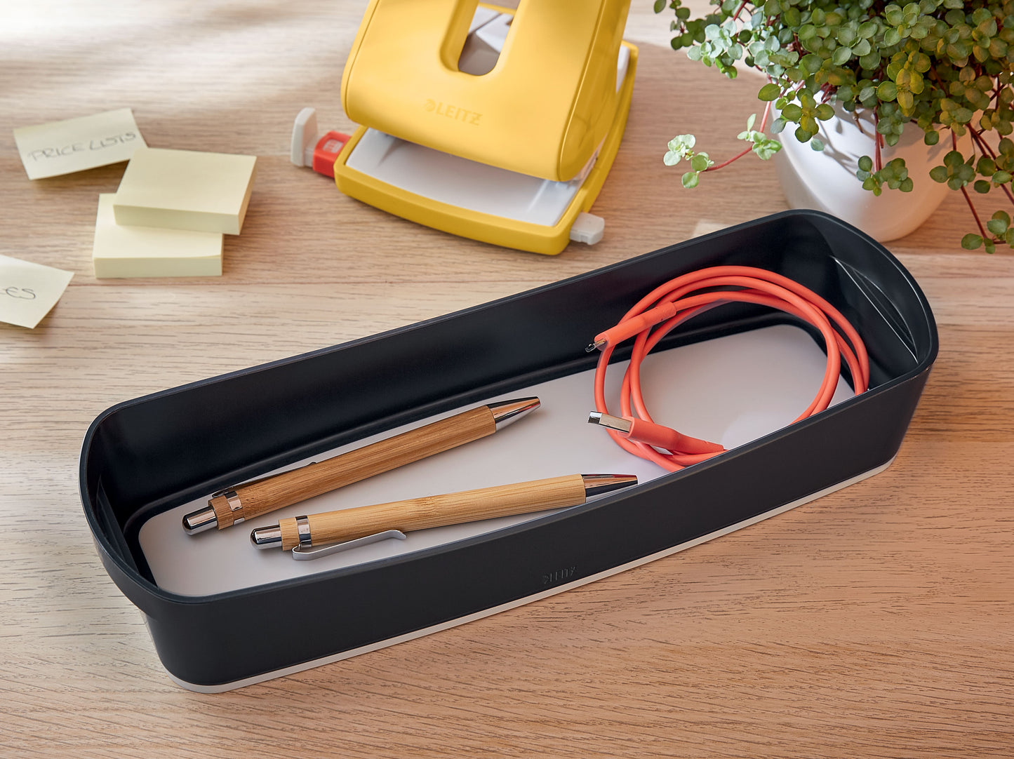 Daiktadėžė Cosy L:MyBox, pailga, pilkos sp.