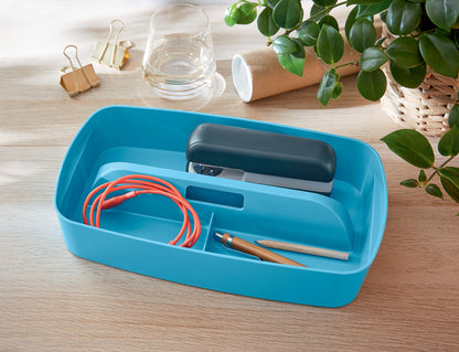 Daiktadėžė Cosy L:MyBox su skyriais, maža, mėlynos sp.