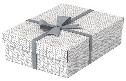 Daiktadėžė ESSELTE, su dangteliu, 265x100x360 balta-pilka (3vnt./pak.)