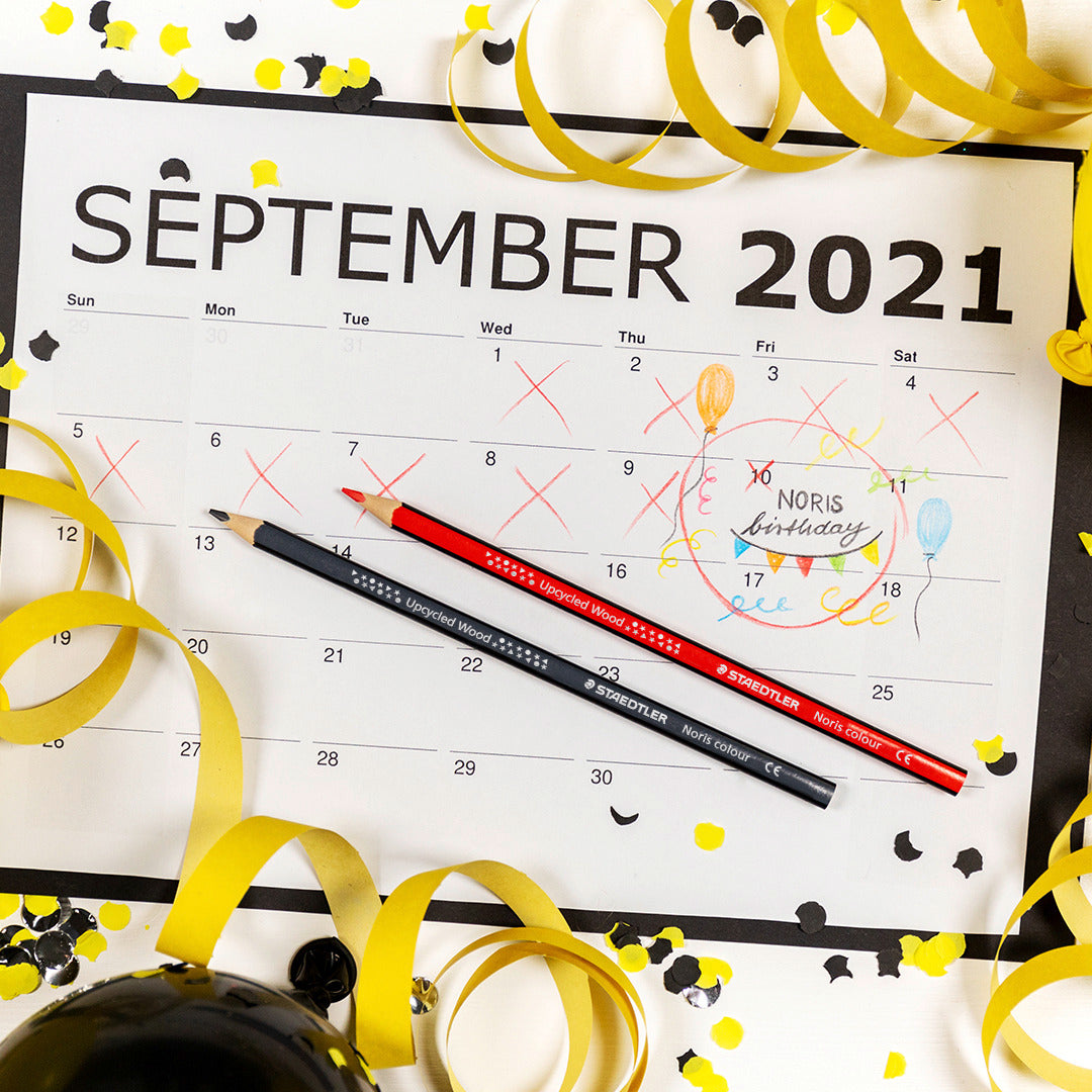 Colored pencils STAEDTLER NORIS 12 colors