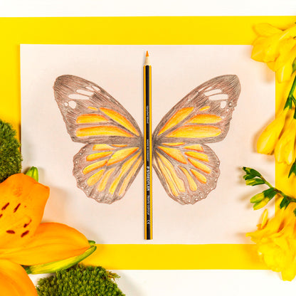 Pieštukai spalvoti STAEDTLER Noris, 12 spalvų