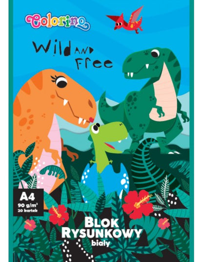 Rinkinys pradinukui Premium Colorino