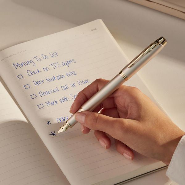 Fountain pen Parker FP IM monochrome champagne