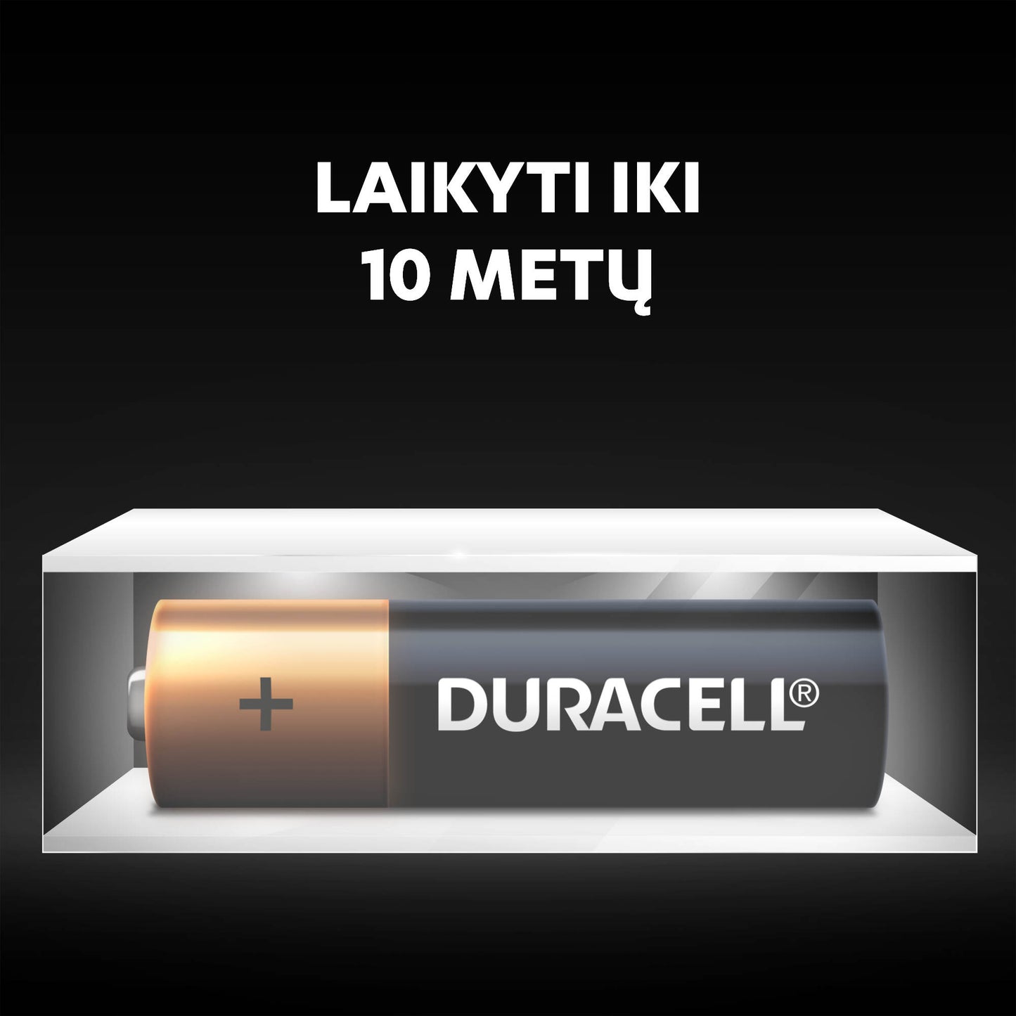 Baterijos DURACELL AA, LR6, 12vnt