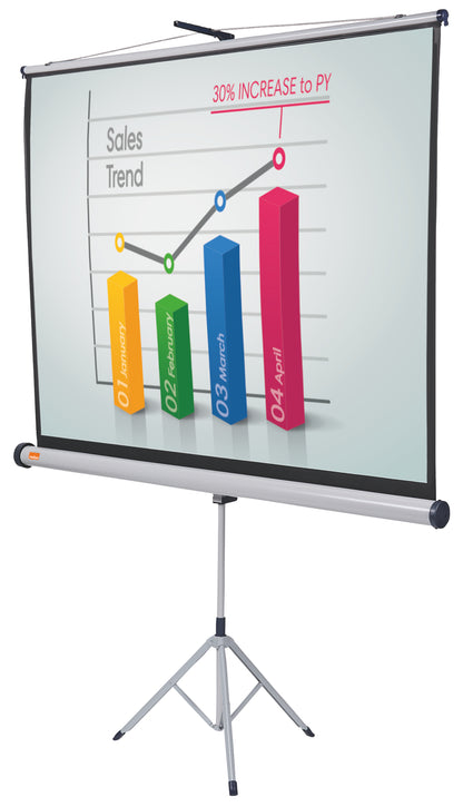 Trikojis projektoriaus ekranas NOBO, 150x114 cm, 4:3