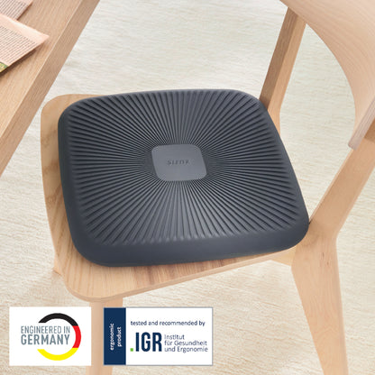 Aktyvaus sėdėjimo pagalvėlė Leitz Ergo, pilkos spalvos