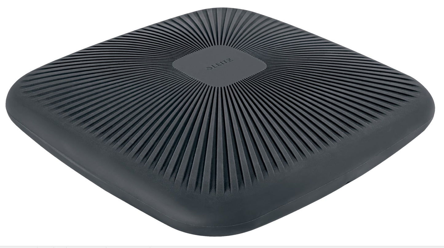 Aktyvaus sėdėjimo pagalvėlė Leitz Ergo, pilkos spalvos