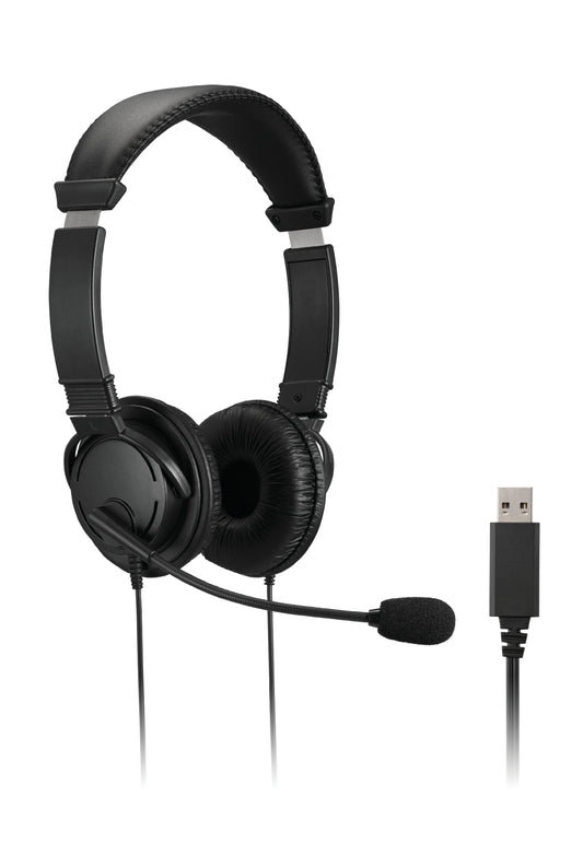 Klasikinės USB-A ausinės su mikrofonu ir garso valdymu