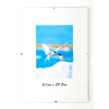 Photo frame, A4, 21x29.7 cm, borderless