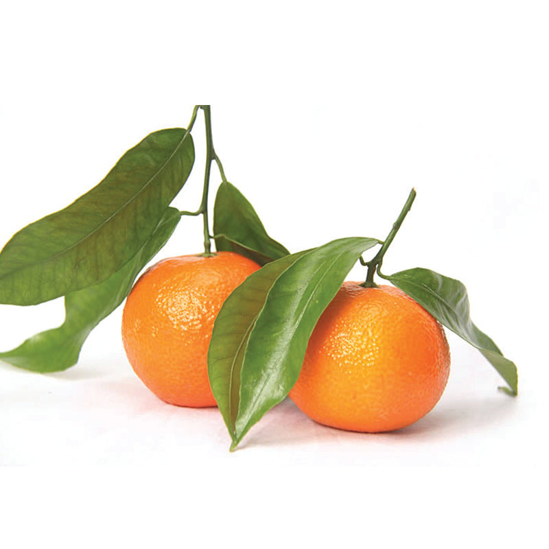 Mandarinai BOLLO, su lapeliais, kg