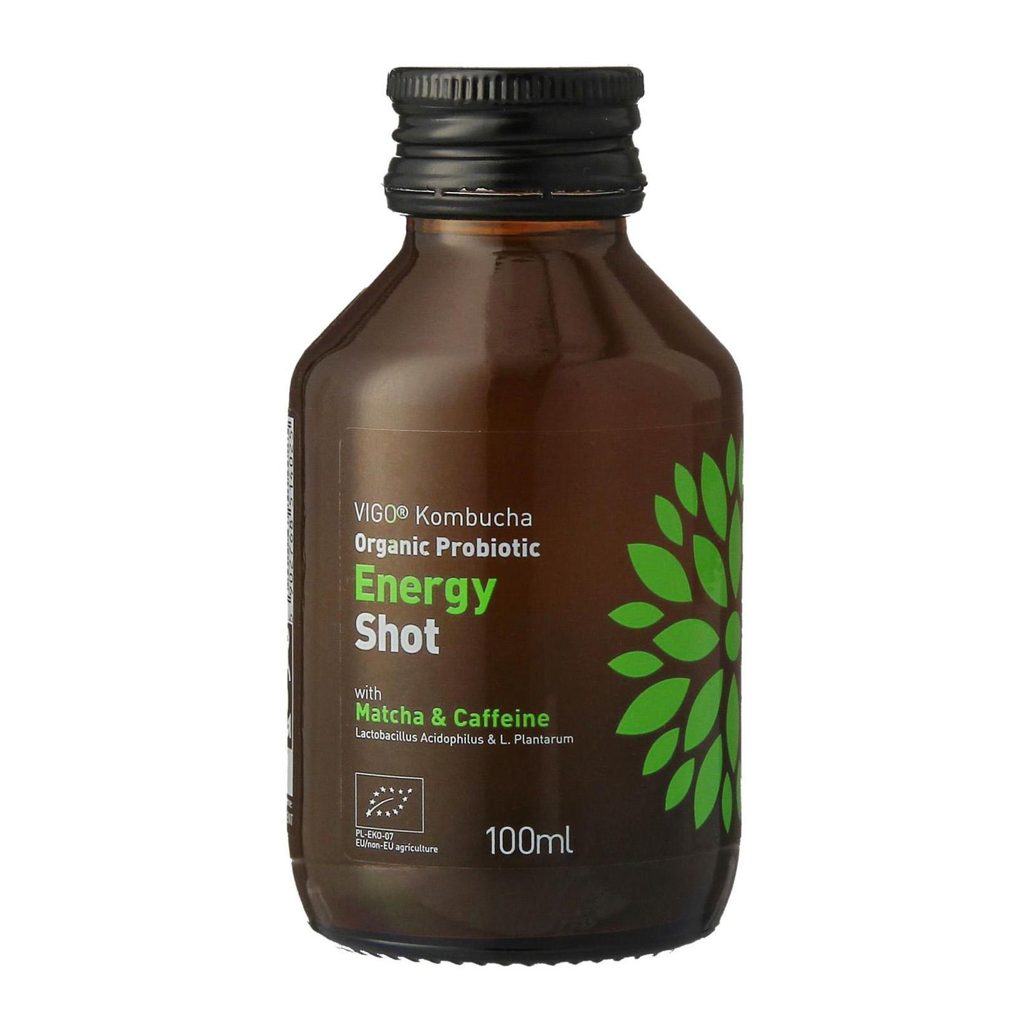 Gaivusis arbatos gėrimas VIGO Kombucha, Energy shot, 0,1l, LT-EKO-001