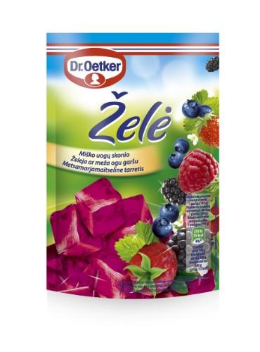 Jelly DR. OETKER, forest berry flavor, 72 g