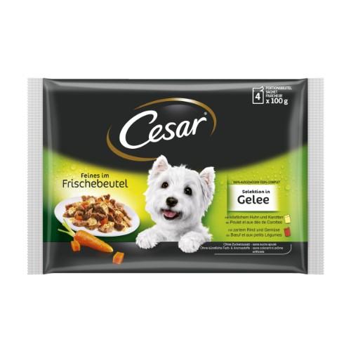 Šlapias ėdalas šunims CESAR, rinkinys su vištiena ir morkomis, jautiena ir daržovėmis, 4x100 g