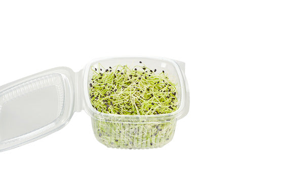 Garlic sprouts 50 g