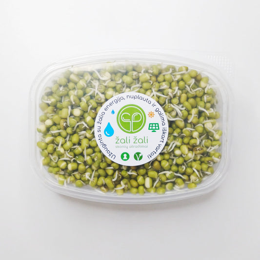 Daigintos spindulinės pupuolės ŽALI ŽALI, 200 g