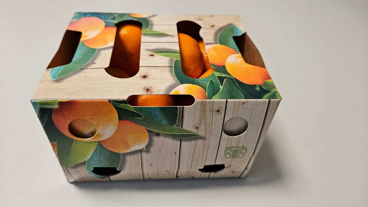 Mandarinai dėžutėje, 1kg