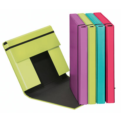 Box-case for documents, notebooks PAGNA, A4, with elastic band