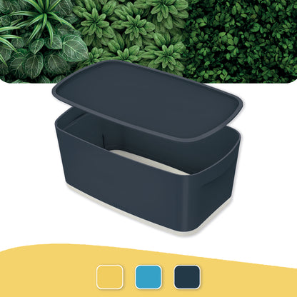 Daiktadėžė Cosy L:MyBox su dangteliu, maža, pilkos sp.