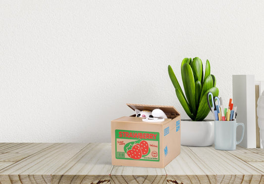 Money box iTotal, Box Cat