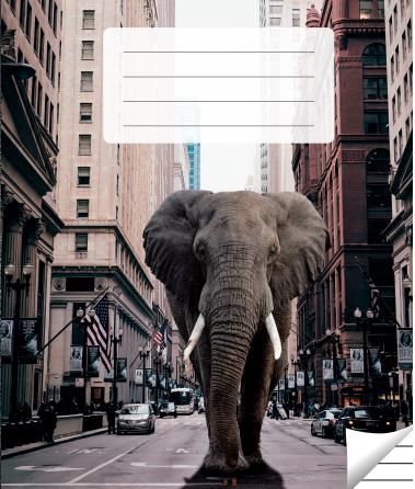 Lined notebook, 36 pages. Inner pages weight – 90 g/m2.