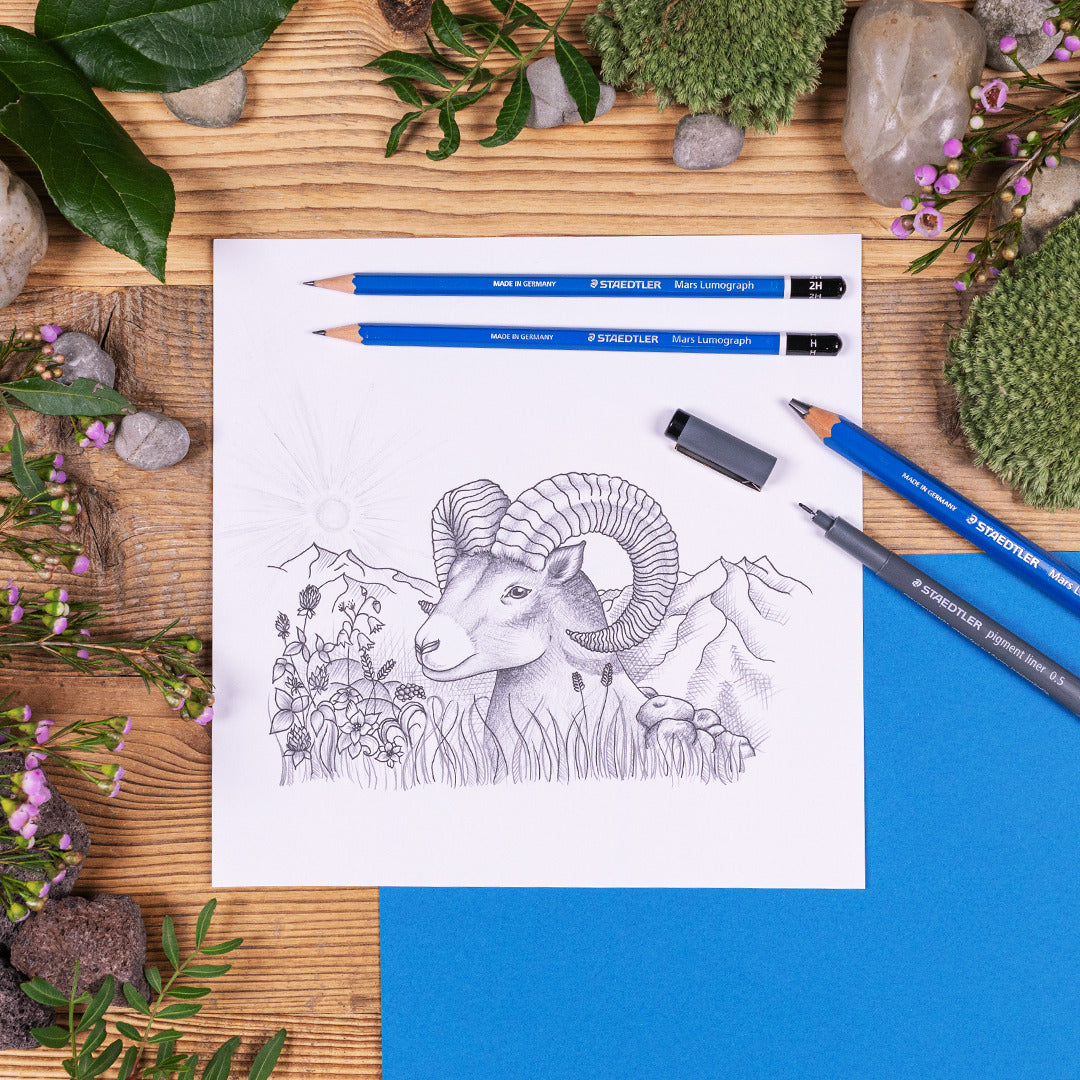 Drawing set STAEDTLER Mars 100