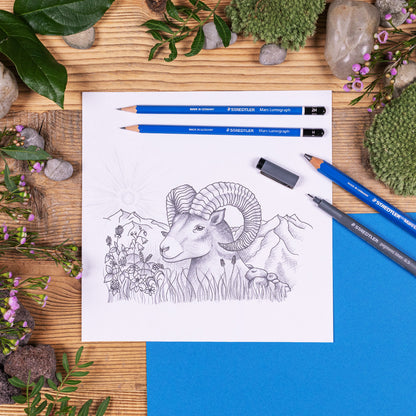 Drawing set STAEDTLER Mars 100