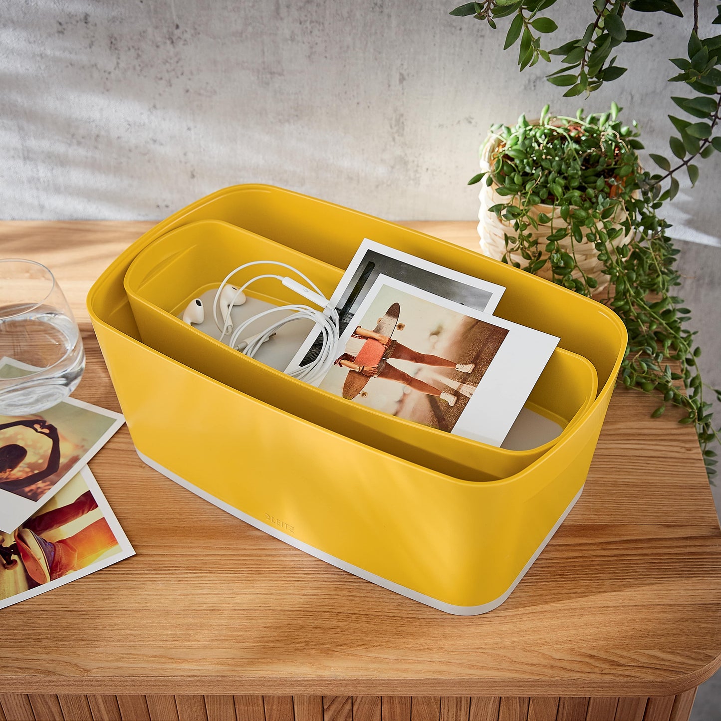 Daiktadėžė Cosy L:MyBox, pailga, geltonos sp.