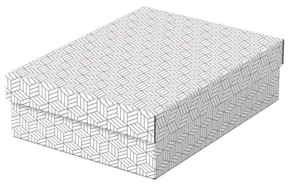 Daiktadėžė ESSELTE, su dangteliu, 265x100x360 balta-pilka (3vnt./pak.)