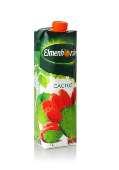 Apple, cactus and lime juice drink ELMENHORSTER, 1 l