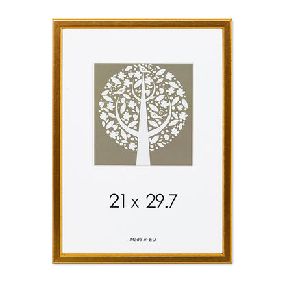 Nuotraukų rėmelis, plastikinis, A4, 21x29,7 cm,  aukso sp.