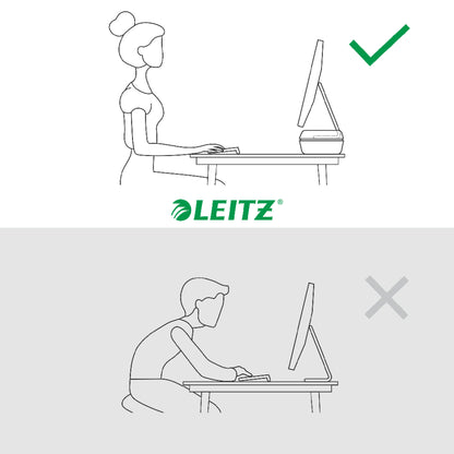 Monitor stand Leitz Ergo, adjustable, gray
