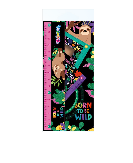 Ruler set 4pcs Wildkid