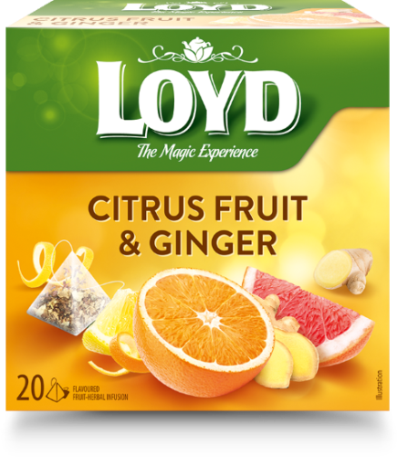 Vaisių ir žolelių arbata LOYD, imbiero ir citrusinių vaisių skonio, 20 x 2g