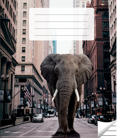 Lined notebook, 36 pages. Inner pages weight – 90 g/m2.